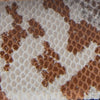 Lana Almond Snake Print Leather